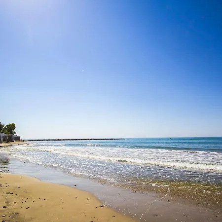 Jardin De Bellver أوروبيسا ذيل مار